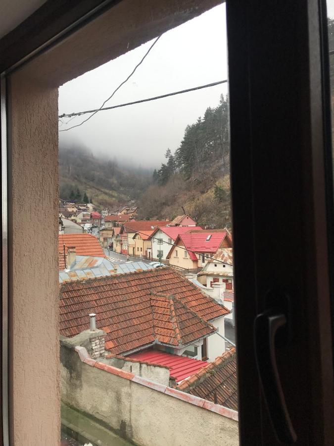 Villa Casa Mountain view Braşov Exterior foto