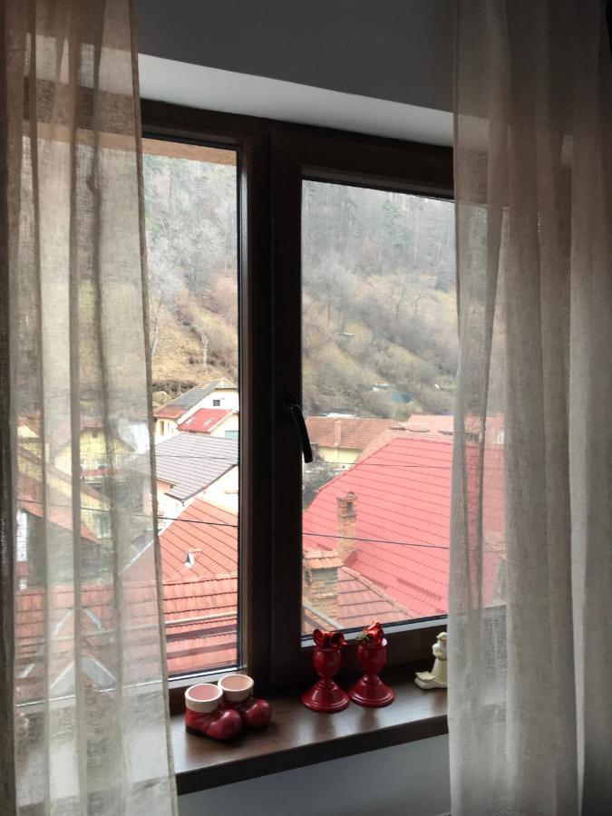 Villa Casa Mountain view Braşov Exterior foto