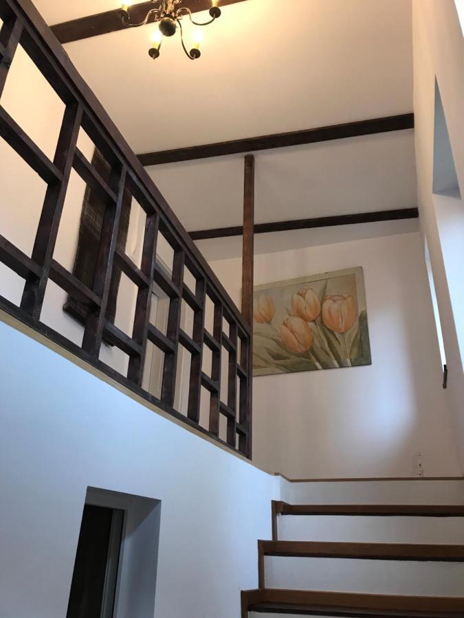Villa Casa Mountain view Braşov Exterior foto