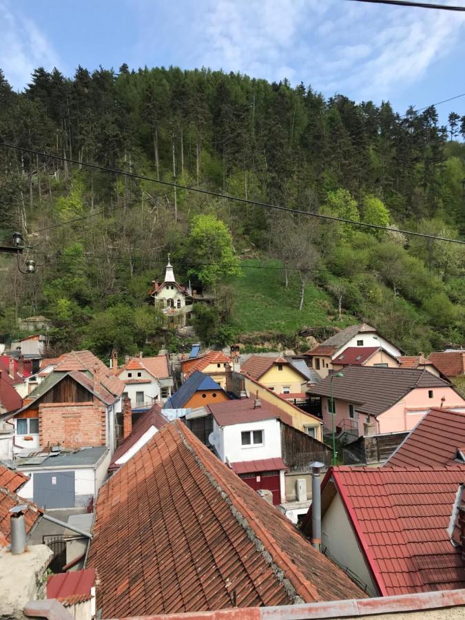 Villa Casa Mountain view Braşov Exterior foto