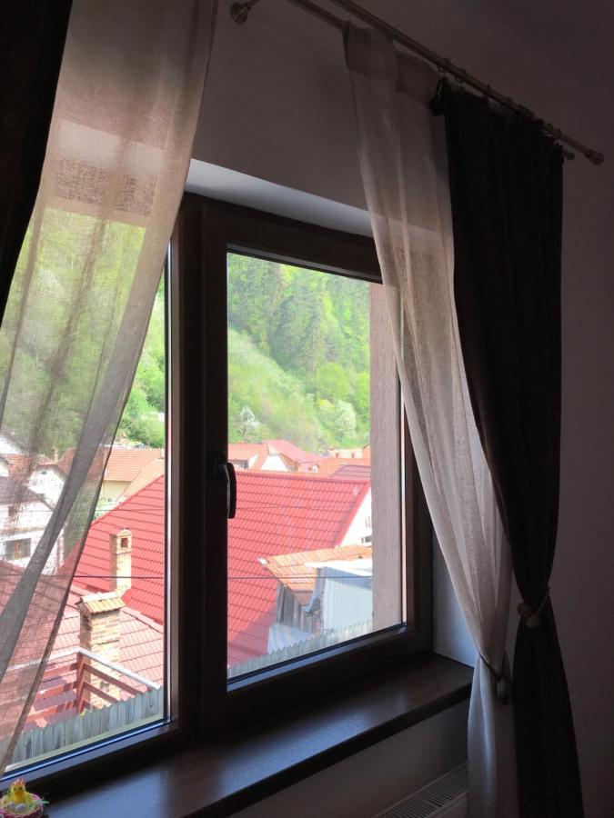 Villa Casa Mountain view Braşov Exterior foto