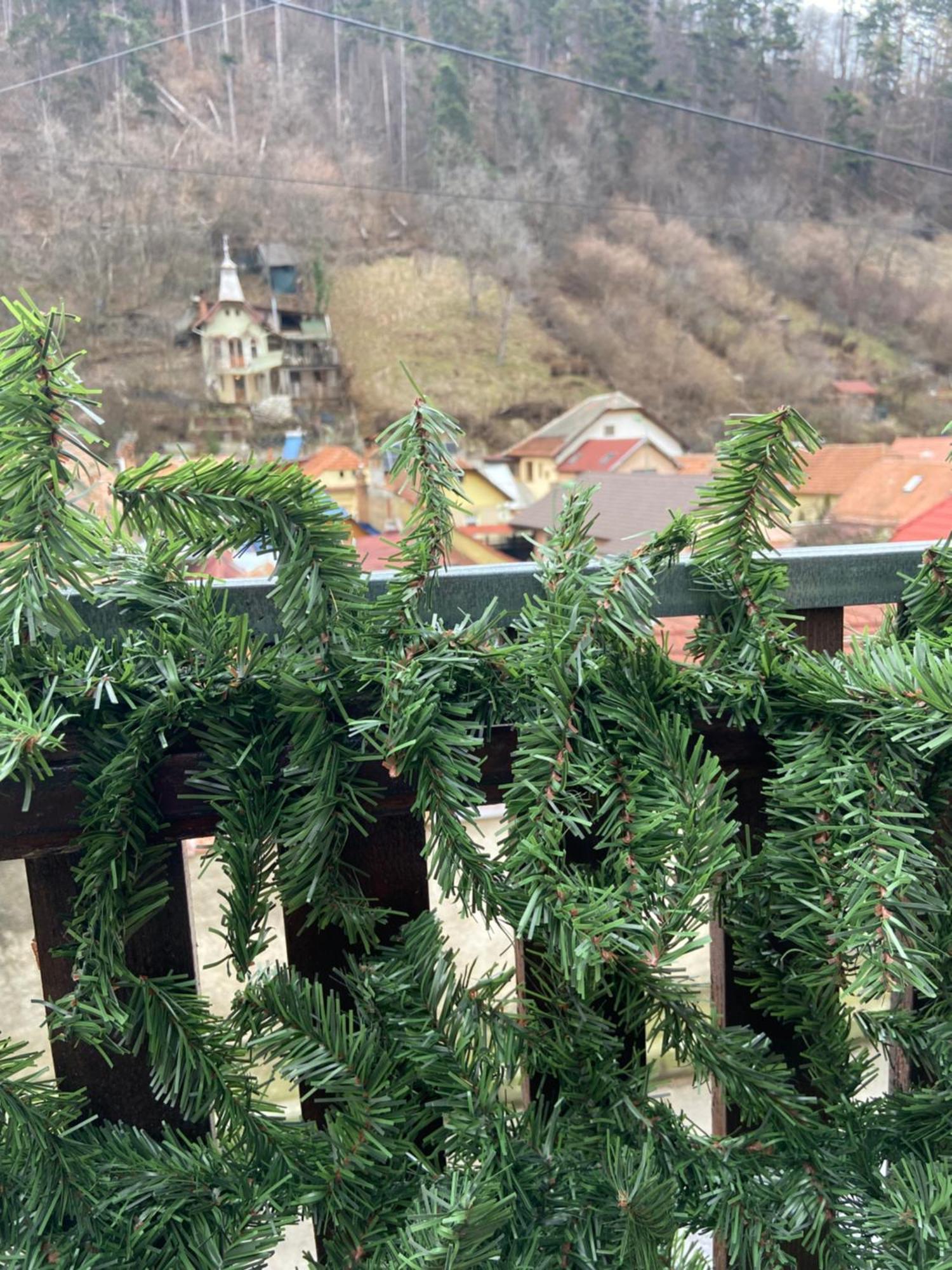Villa Casa Mountain view Braşov Exterior foto